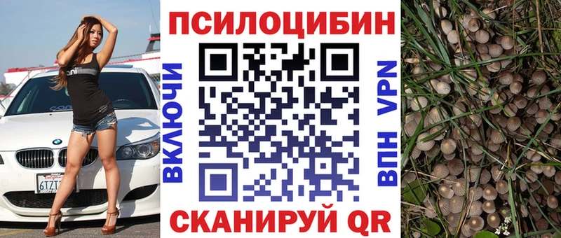 Галлюциногенные грибы прущие грибы  наркотики  Дыгулыбгей 