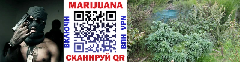 Каннабис SATIVA & INDICA  Дыгулыбгей 